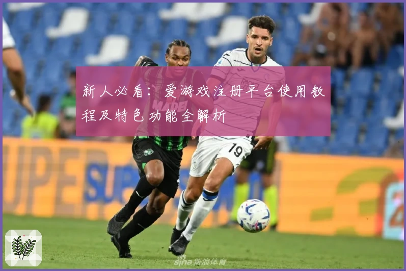 新人必看：爱游戏注册平台使用教程及特色功能全解析